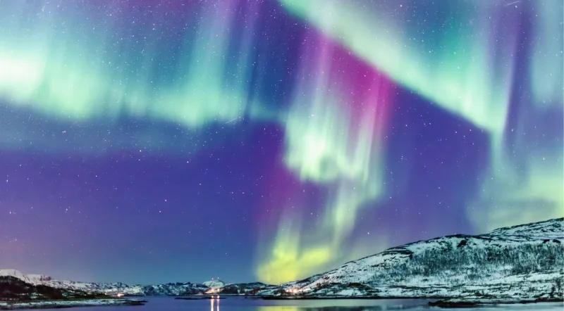 Green and purple northern lights over a snowy Icelandic coastline at night